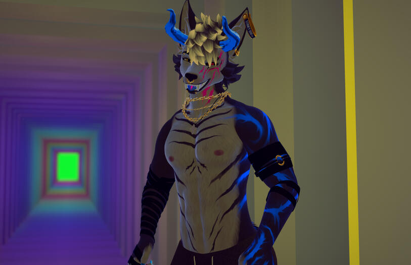 Archer Canine - Grey Moriarty{Personal}